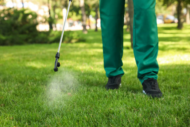 Professional Pest Control in Beckley, WV