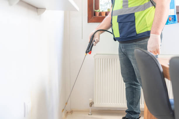 Best Rat Extermination Near Me  in Beckley, WV