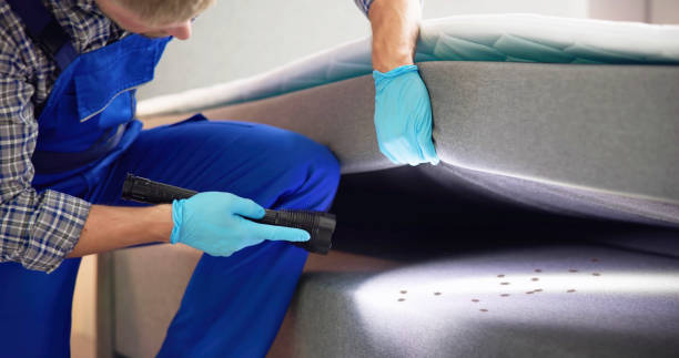 Pest Control Cost in Beckley, WV