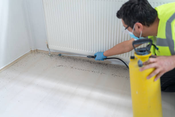 Best Exterminator Services  in Beckley, WV